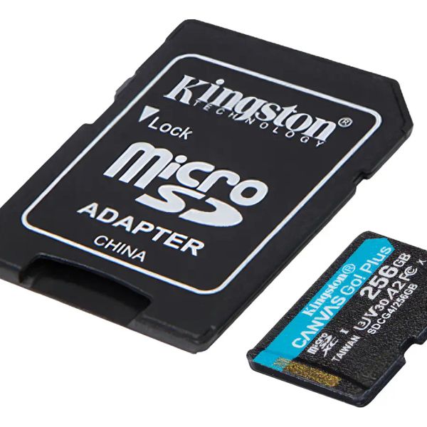 Memoria microSD 256 GB