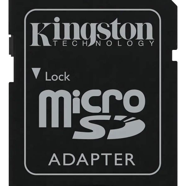 Memoria microSD 256 GB
